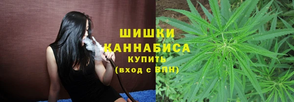 2c-b Горнозаводск