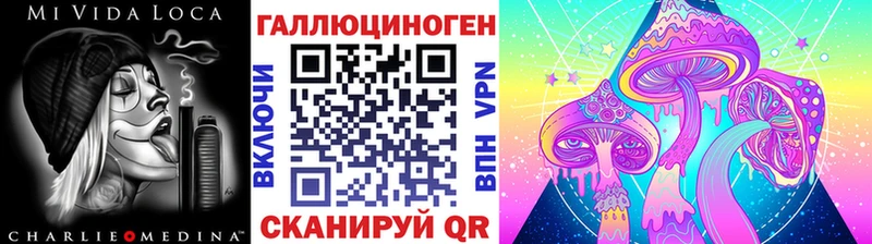 закладка  MEGA ТОР  Галлюциногенные грибы MAGIC MUSHROOMS  Ставрополь 
